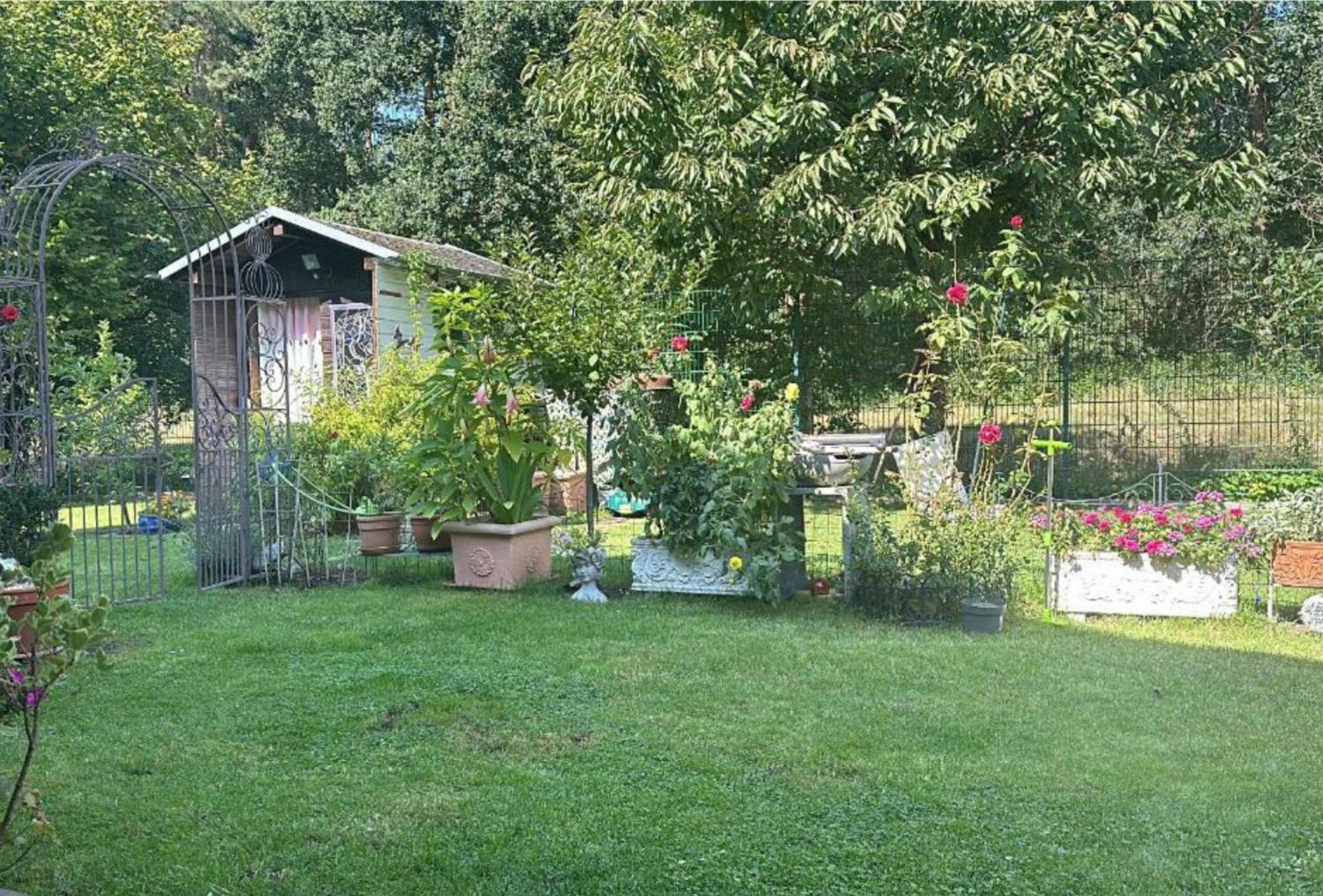 Grosse Helle Wohnung Am Wald In Bad Saarow Nahe Gruenheide Und Berlin Souterrain Exterior photo